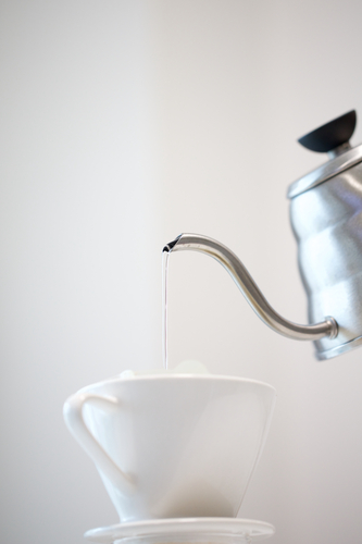 KNILIA/Shutterstock.com