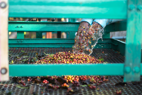 BonNontawat/Shutterstock.com