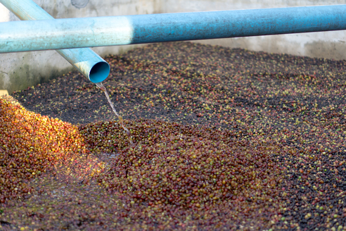 BonNontawat/Shutterstock.com