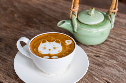 Noi Pattanan/Shutterstock.com