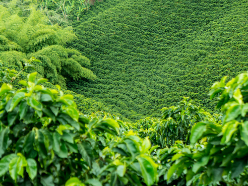 Martin Nabert/Shutterstock.com