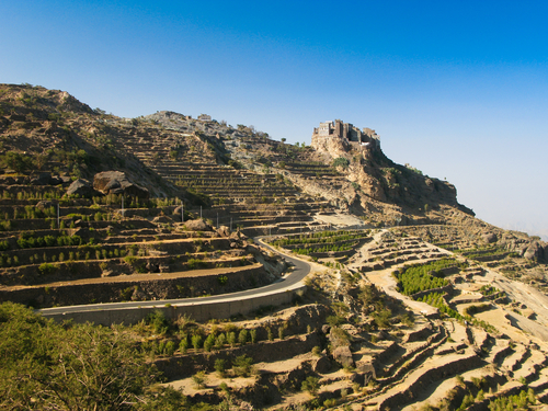 Homo Cosmicos/Shutterstock.com