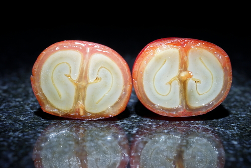 moddangfire/Shutterstock.com