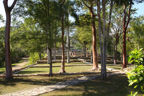 キューバのコーヒー農園 Patricia Hofmeester/Shutterstock.com