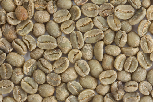 m.iskandarov/Shutterstock.com