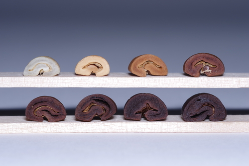 コーヒー豆の焙煎課程の断面/moddangfire/Shutterstock.com